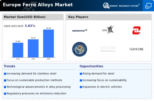 Europe Ferro Alloys Market Infographic