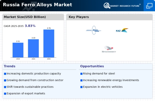 Russia Ferro Alloys Market Infographic