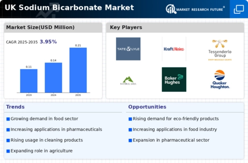 UK Sodium Bicarbonate Market Infographic