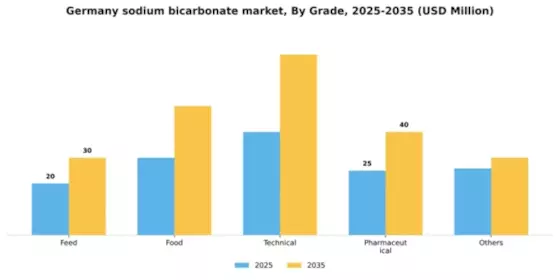 Germany Sodium Bicarbonate Market Segment Image 1