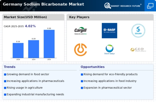 Germany Sodium Bicarbonate Market Infographic