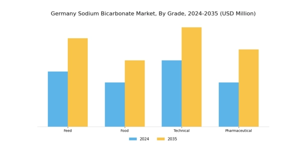 Germany Sodium Bicarbonate Market Segment Image 0
