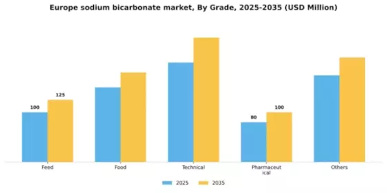 Europe Sodium Bicarbonate Market Segment Image 1