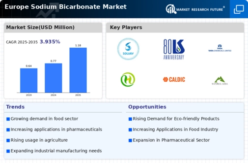 Europe Sodium Bicarbonate Market Infographic