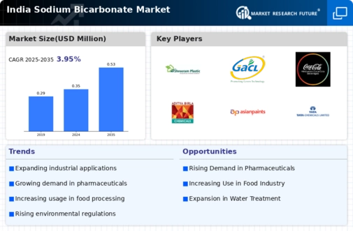 India Sodium Bicarbonate Market Infographic