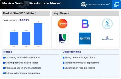 Mexico Sodium Bicarbonate Market Infographic
