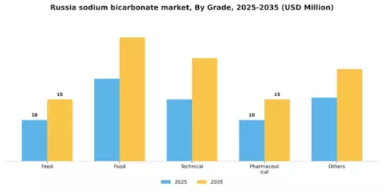 Russia Sodium Bicarbonate Market Segment Image 1