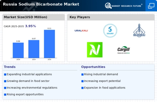 Russia Sodium Bicarbonate Market Infographic