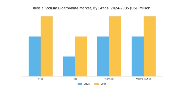 Russia Sodium Bicarbonate Market Segment Image 0