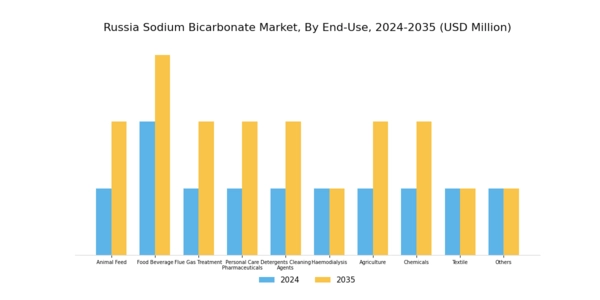 Russia Sodium Bicarbonate Market Segment Image 1