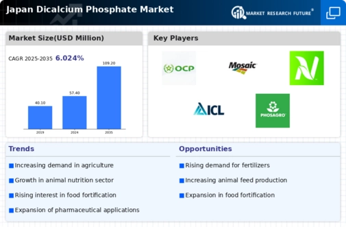 Japan Dicalcium Phosphate Market Infographic