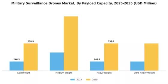 Military Surveillance Drones Market Segment Image 2