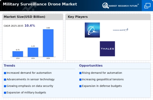 Military Surveillance Drones Market Infographic