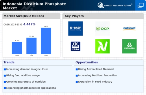 Indonesia Dicalcium Phosphate Market Infographic