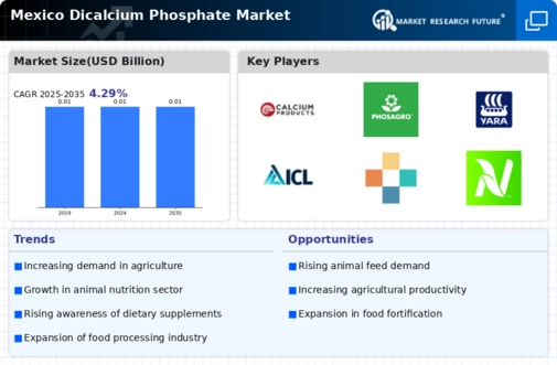 Mexico Dicalcium Phosphate Market Infographic