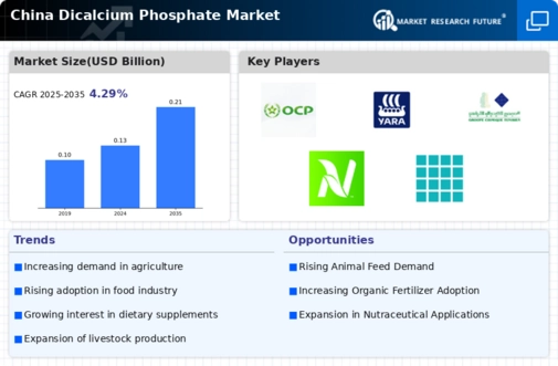 China Dicalcium Phosphate Market Infographic