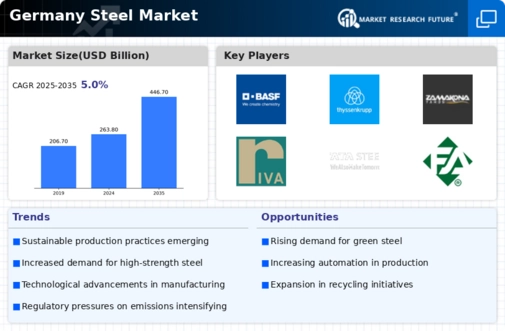 Germany Steel Market Infographic
