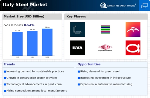 Italy Steel Market Infographic