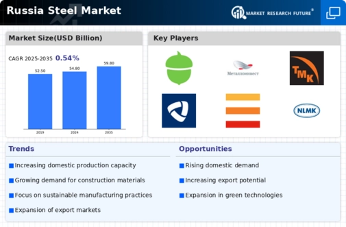 Russia Steel Market Infographic