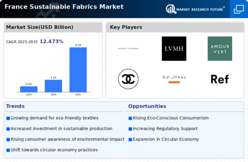 France Sustainable Fabrics Market Infographic