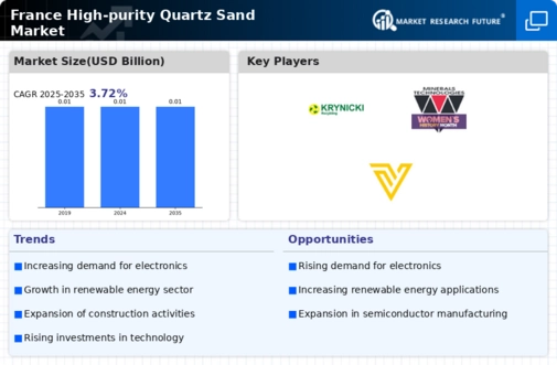 France High Purity Quartz Sand Market Infographic