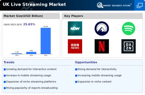 UK Live Streaming Market Infographic