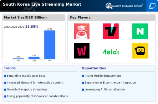 South Korea Live Streaming Market Infographic
