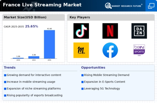 France Live Streaming Market Infographic