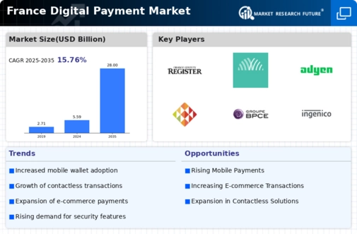 France Digital Payment Market Infographic