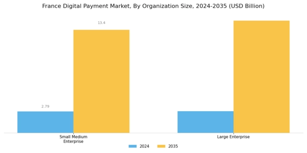 France Digital Payment Market Segment Image 2