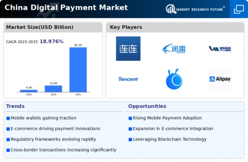 China Digital Payment Market Infographic