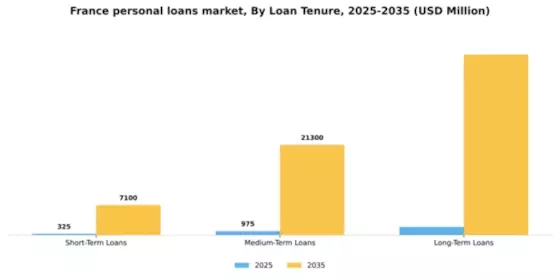 France Personal Loans Market Segment Image 1