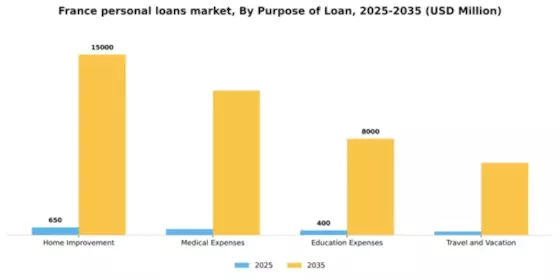 France Personal Loans Market Segment Image 2