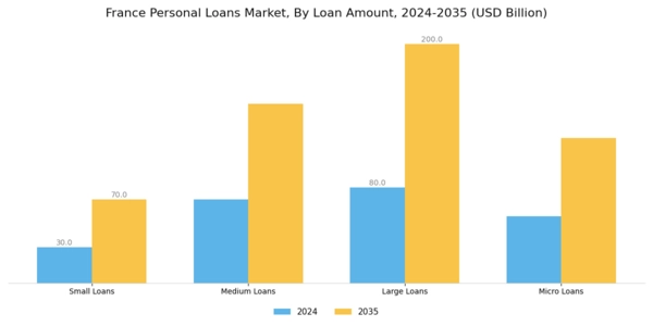 France Personal Loans Market Segment Image 1