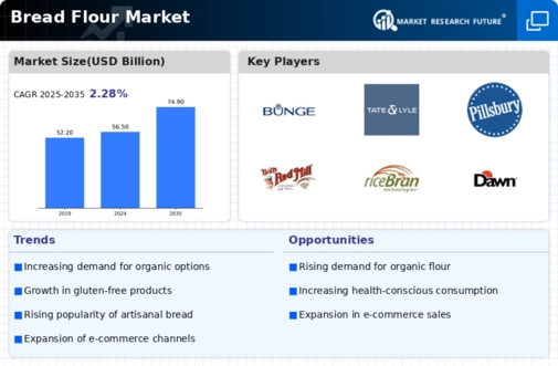 Bread Flour Market Infographic