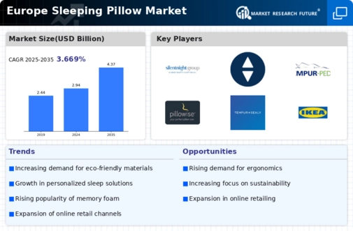 Europe Sleeping Pillow Market Infographic