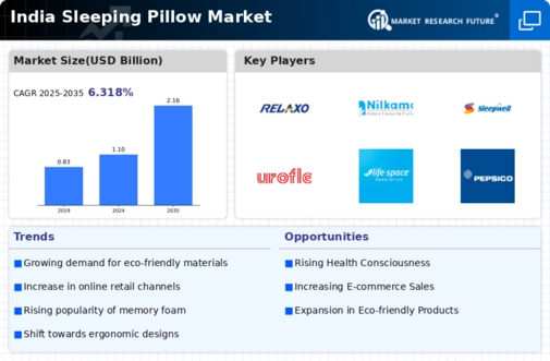 India Sleeping Pillow Market Infographic