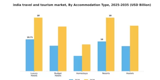 India Travel And Tourism Market Segment Image 0