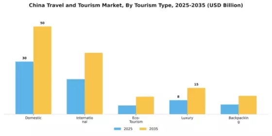 China Travel And Tourism Market Segment Image 2
