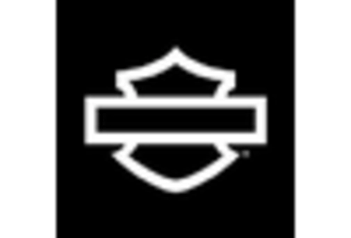 North America Motorcycle Apparel Market key player