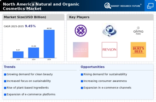North America Natural And Organic Cosmetics Market Infographic