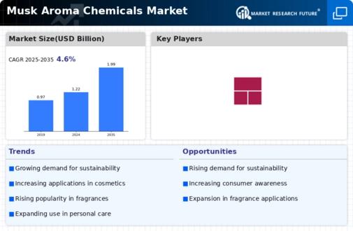 Musk Aroma Chemicals Market Infographic