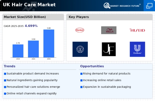 UK Hair Care Market Infographic