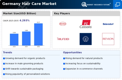 Germany Hair Care Market Infographic