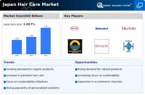 Japan Hair Care Market Infographic