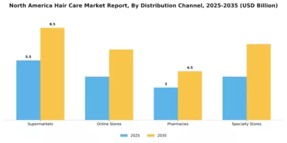 North America Hair Care Market Segment Image 0