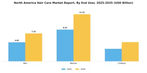 North America Hair Care Market Segment Image 1