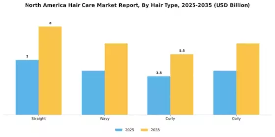 North America Hair Care Market Segment Image 2