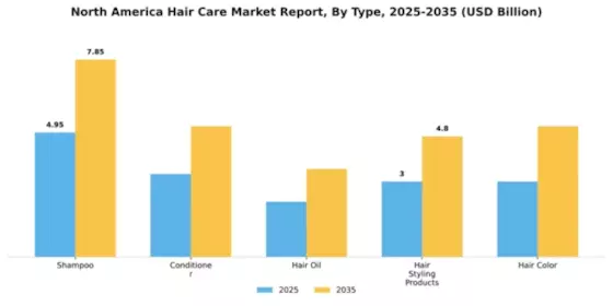 North America Hair Care Market Segment Image 3