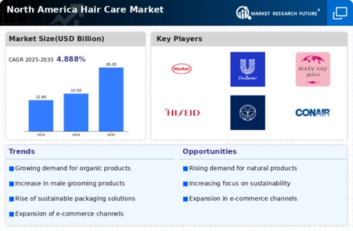 North America Hair Care Market Infographic